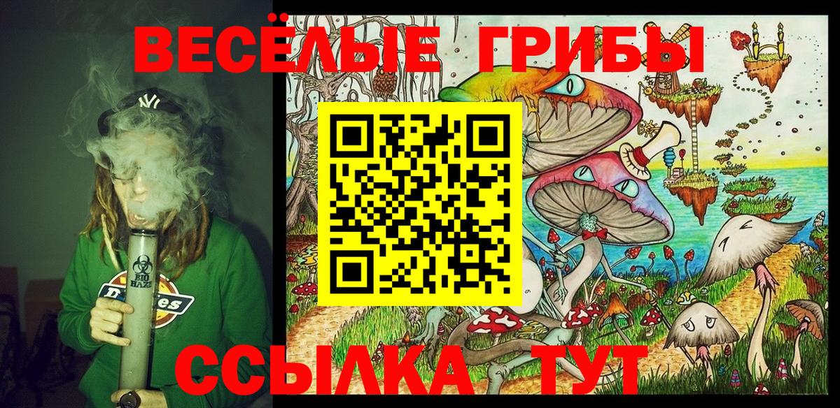хочу   Вход с VPN  Псилоцибиновые грибы мицелий  Кизилюрт  Псилоцибиновые грибы Psilocybine cubensis 