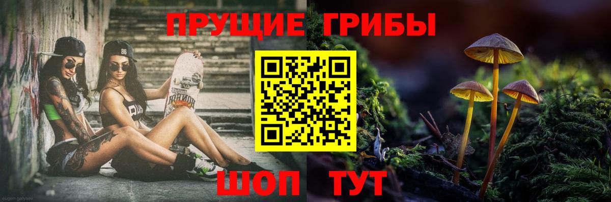 Галлюциногенные грибы Magic Shrooms Кизилюрт